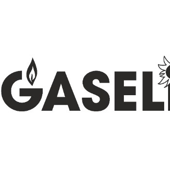 Gaselint